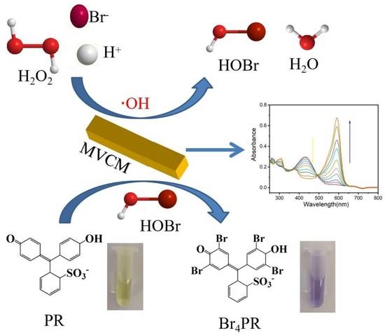 Biosensors_MDPI's tweet photo. #EditorsChoice:
📢 Ce-MOF with Intrinsic Haloperoxidase-Like Activity for Ratiometric Colorimetric Detection of Hydrogen Peroxide  

Read more: https://t.co/HTRE6Gf2UO 

#nanozyme
#CeMOF 
#hydrogenperoxide https://t.co/YzBEWfCit4