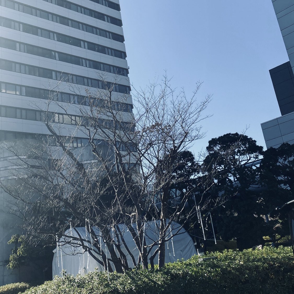 chemicalpops's tweet photo. 結果。定期。問題なし。ありがとうございます。ご報告まで。 https://t.co/lJgTv83dUd