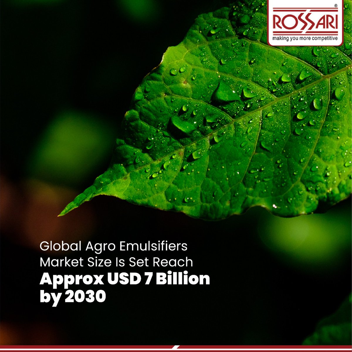 RossariBiotech's tweet photo. The global agro emulsifiers market is set to reach approximately USD 7 Billion by 2030. 
#rossari #rossaribiotech #agro #agrochemical #agroindustry #emulsifiers #agromarket #industrytren #agromanufacture #agroemulsifiers #agroproducts #growth  #agricultureindustry #growingmarket https://t.co/VRTMKFORHL