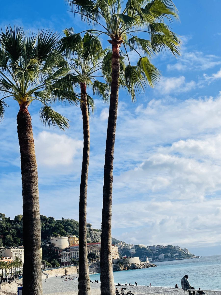BeauRivageNice's tweet photo. [ #BoutiqueHotelNice - #CotedAzurFrance ]
Un #MondayMotication sous le soleil à NIce, merci Père Noël! @VisitCotedazur @ExploreNCA https://t.co/3GPbKzUoM2