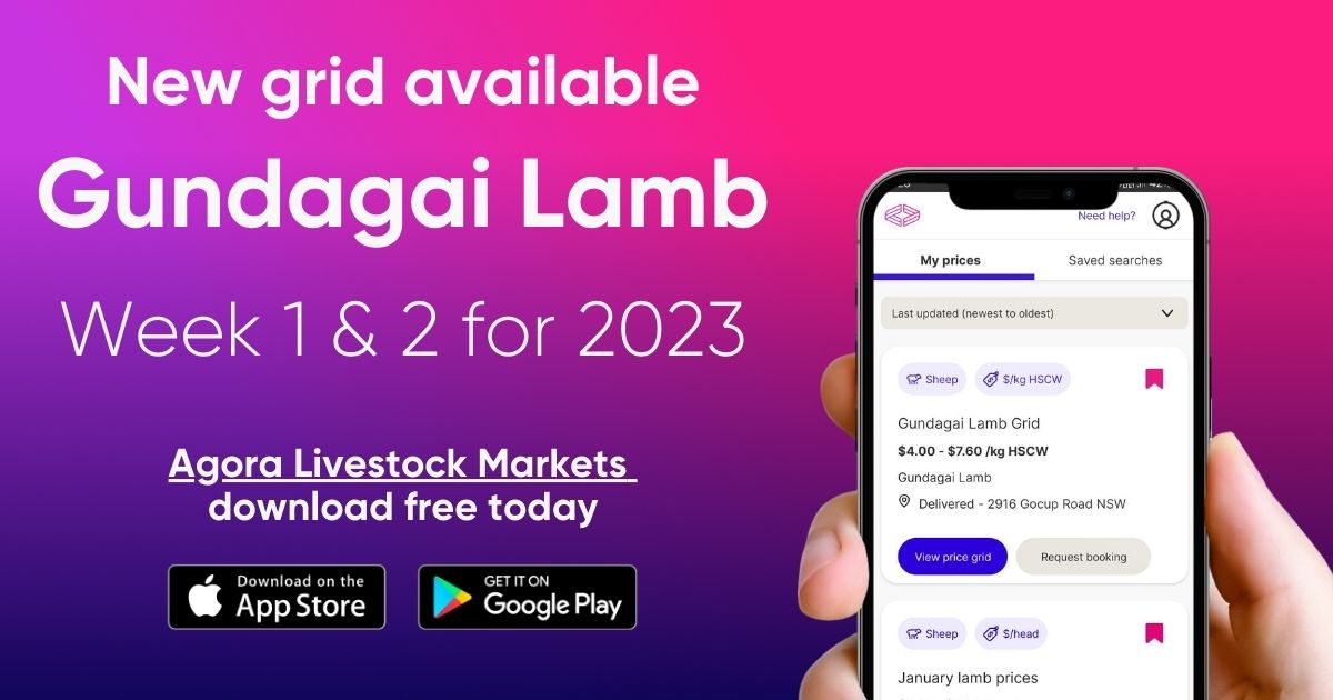AgoraLivestock tweet media