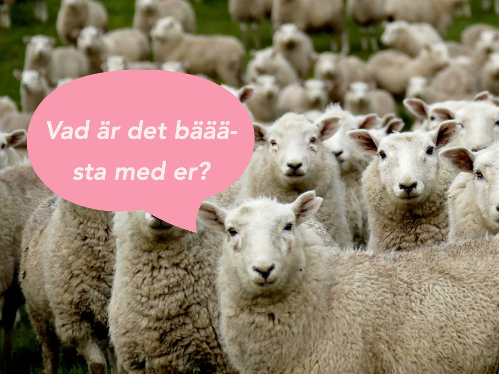 Vi befinner oss mitt i en tid där vi påminns om vikten gemenskap. Visste du också att när vi får feedback som grupp och inte individuellt, tenderar vi att konkurrera mindre med varandra? Kolla in veckans träningstips för att lära dig mer!

habitud.se/detbastamedoss