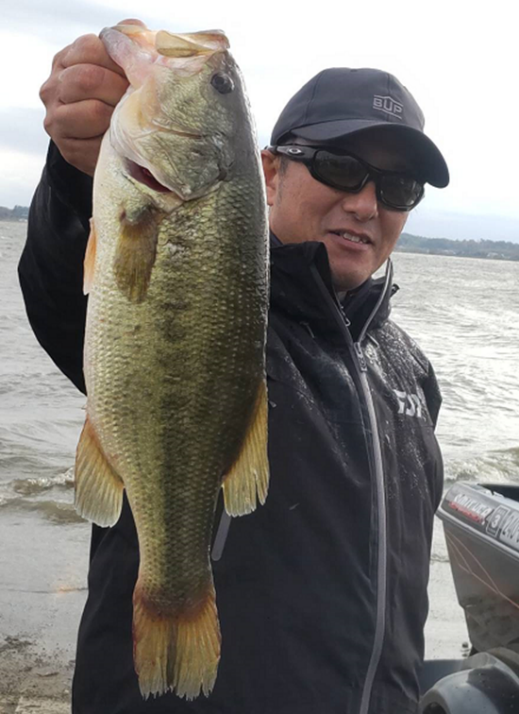 Bottomup_Inc's tweet photo. 山口将司コラム更新しました。
今回は「ローカルトーナメント最終戦 in 霞ヶ浦」
是非ご覧ください!↓
https://t.co/faBsCARRFg
#bottomup
#bottomupfishinggear
#BREAVOR
#ブレーバー
#スナッグレスネコリグ
#FLUMMY
#フルーミー
#ラトルズトーナメント
#霞ヶ浦水系
#山口将司 https://t.co/W1QCltypvH