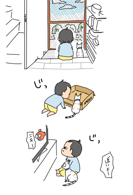 息子1歳と猫0歳
やることだいたい一緒 