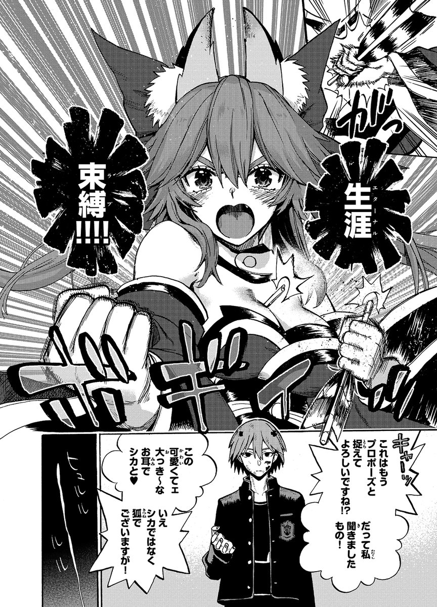 「フェイト/エクストラCCC FoxTail」11巻本日発売です。キャスターと鈴鹿の対決も大詰め! 帯寄稿はTMStudioBBの新納一哉さん!  現在既刊コミックスが各電子書籍ショップで割引フェア中ですので、是非この機会に! #フォックステイル