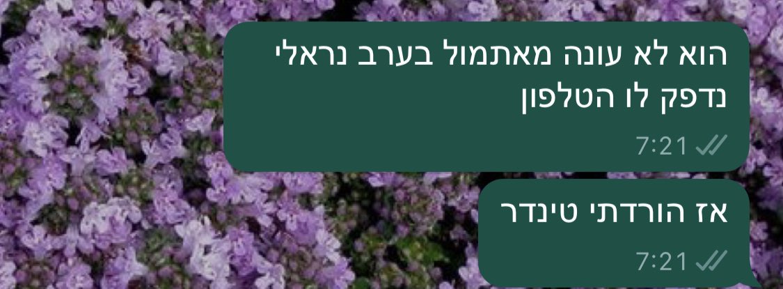 מאיה גונן (@mayagonennnnnnn) on Twitter photo 