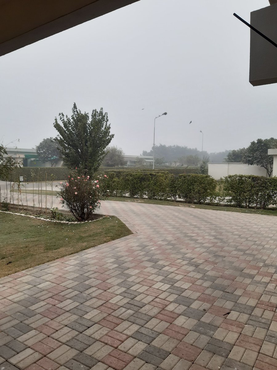 yaarMoongphali's tweet photo. It's almost afternoon and no sign of sun! 7° temperature in the morning.. 🥶 https://t.co/TDGBah9Qoz