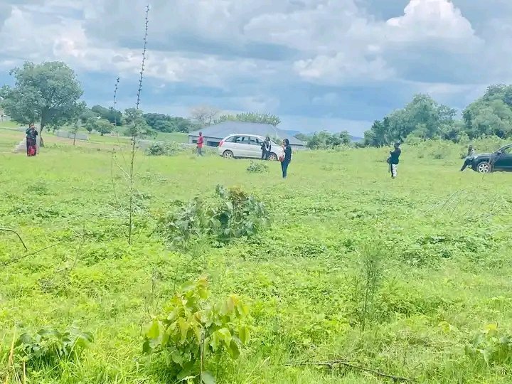 irischongo's tweet photo. Zambia We have land in unique and Beautiful places really imweeeeee ❤️❤️❤️❤️❤️❤️🤩🤩🥂🥂🎊🎊🎊🎊

Christmas is almost over, keep some money for 20x20 

Come and buy land ba lusaka na kitwe, Coperbelt ekotuli #ShamahRealEstateAgency
#ZedTwitter https://t.co/rNYnHWLlDl