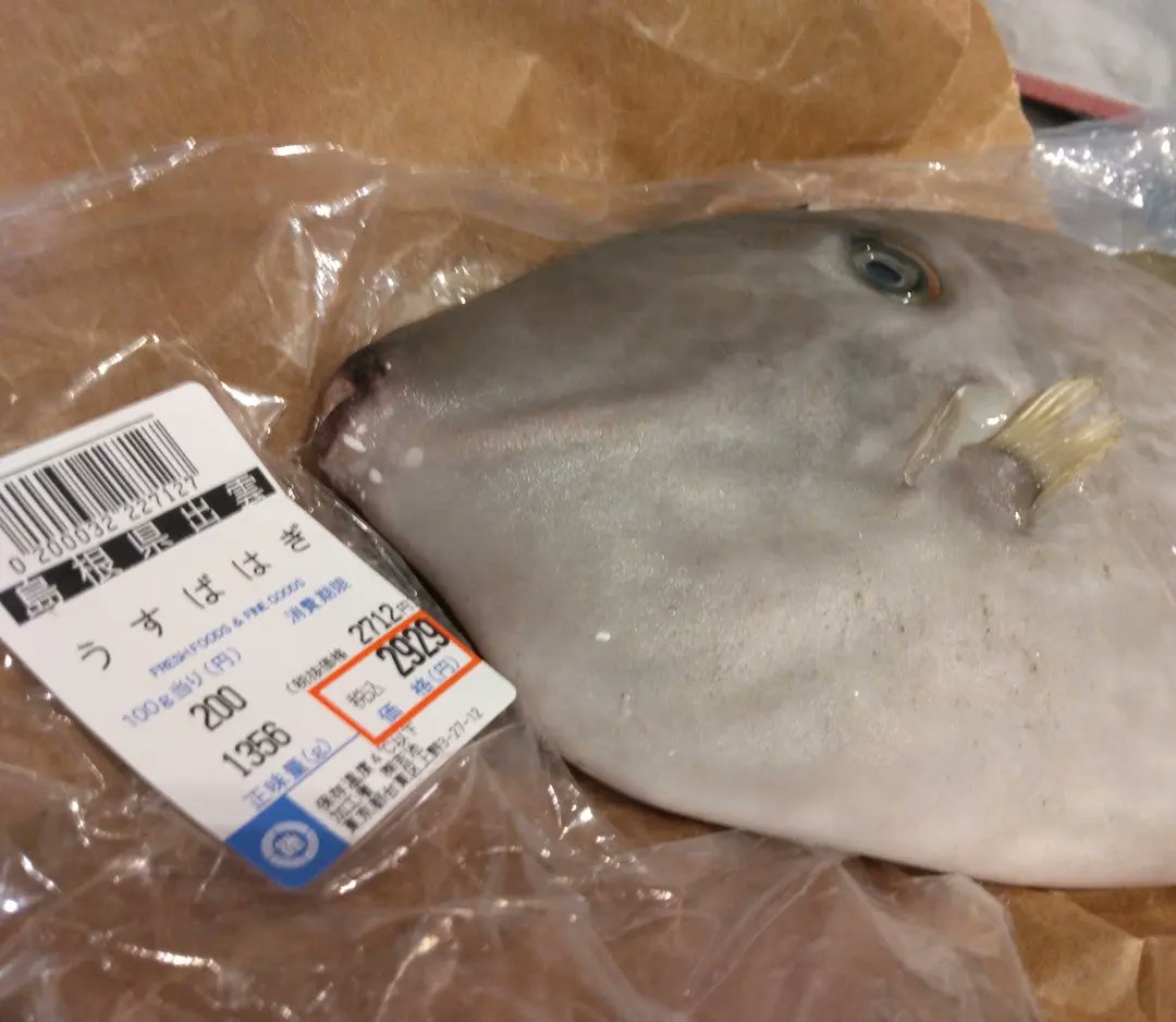 うすばはぎ Twitter Search Twitter