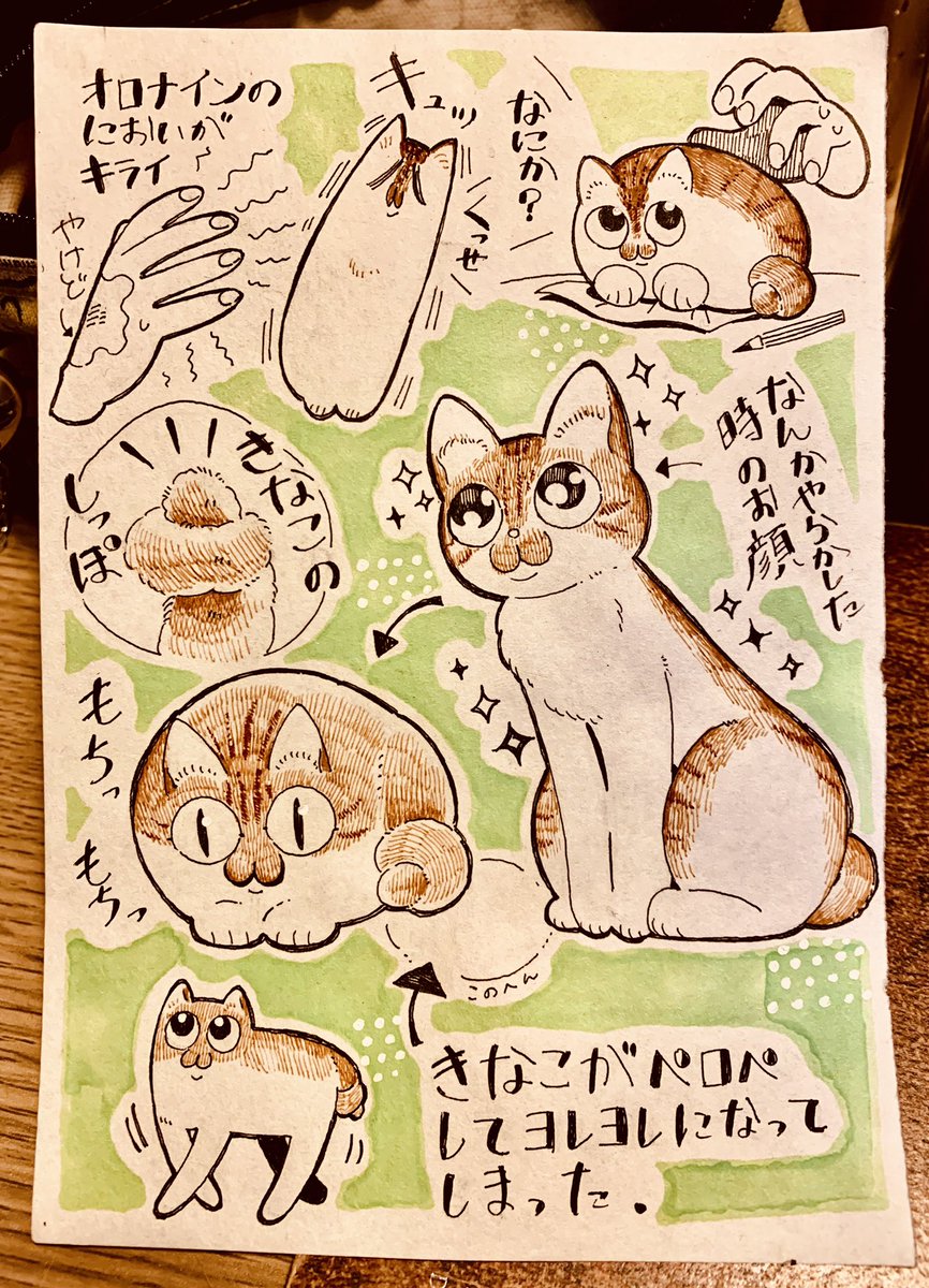 猫がラフ用の紙をベロベロしちゃって紙ヨレヨレになったから犯人をたくさん描いてやったぜ 