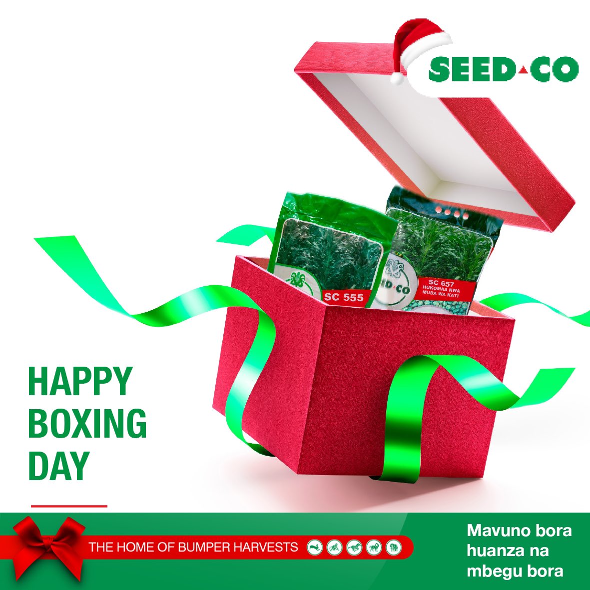 seedcotz's tweet photo. Happy Boxing Day https://t.co/42MHVBxyD1