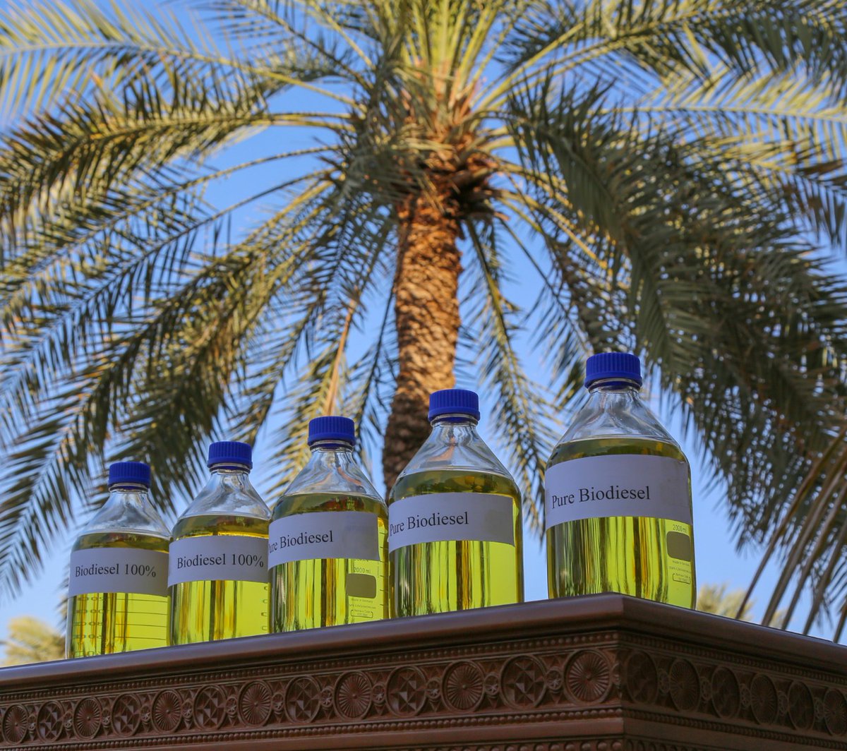 sultanqaboosuni's tweet photo. #خبر |

حفل إطـلاق أول حافلة نقل عام تعمل بالوقود الحيوي في الوطن العربي، حيث تمت صناعة الوقود من زيت نوى التمر من قِبَل فريق بحثي بـ #جامعة_السلطان_قابوس https://t.co/r6QYCTrdhm