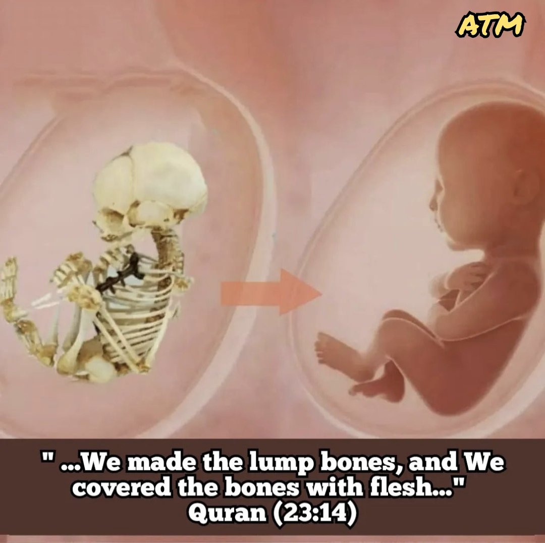 ExMuslimMemes's tweet photo. It is one of many scientific errors in the Quran. You can read my caption commentary here: https://t.co/huO3ZuHDFT
You can continue your research here: https://t.co/yue2LijCqC
#ูุงูุฑ #ู
ูุญุฏ
#scientificerrorsinquran #exmuslimmemes #ExMuslim https://t.co/oi4ZKBGCLV