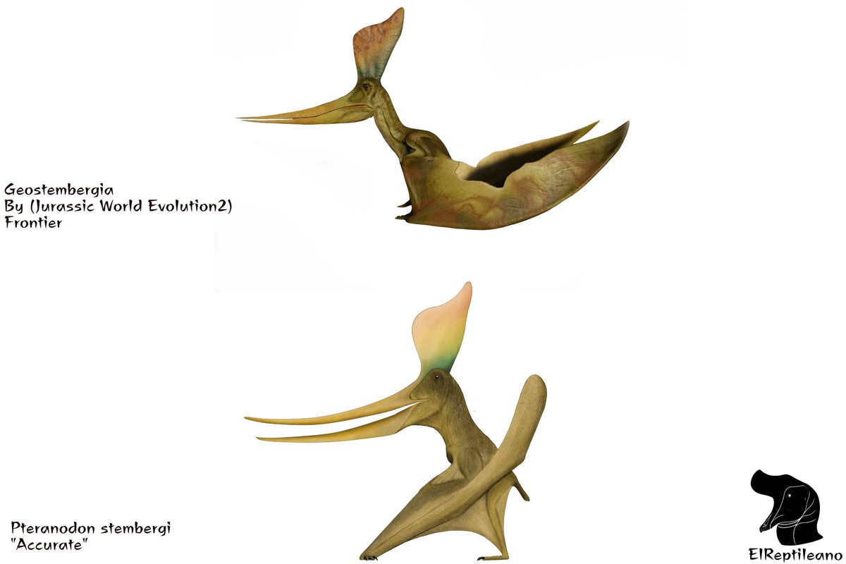 Geostembergia or rather Pteranodon sternbergi in its version 'Accurate' with some modifications such as the shape of the neck, the wings and the legs of the wings the design would be very precise! #JurassicWorldEvolution2