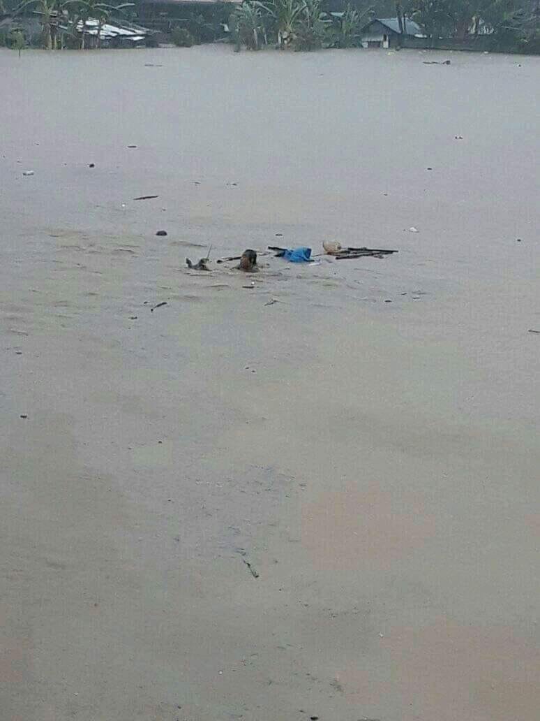 asteuronxmii's tweet photo. #MisamisOccidentalNeedsHelp 
The provinces of MissOcc are greatly affected by massive floods, and we're trying to get help as much as we can.
People are nervous for the night to come as water may rise again and the rain won't stop pouring. My fellow Misamisnons need your help! https://t.co/6DeDG4gPaV
