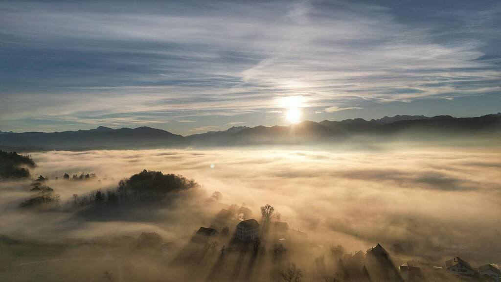 vincetervooren's tweet photo. The #fog over the #zurisee during #goldenhour yesterday morning was absolutely breathtaking, #droneperspective https://t.co/QVSHesT6qL