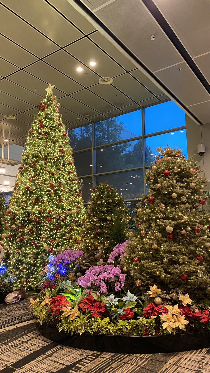 playdapp_io's tweet photo. Christmas is here in Singapore as well! 😍 https://t.co/j5VAcIJTPS
