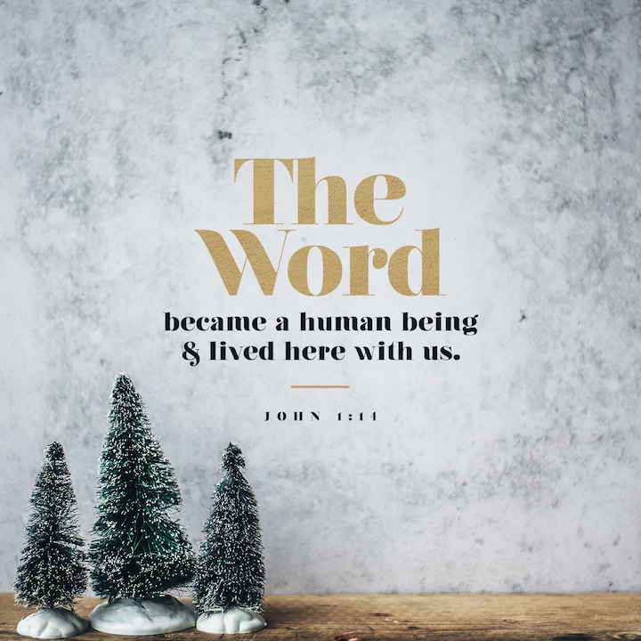 BeFreeChurch's tweet image. So the Word became human and made his home among us. He was full of unfailing love and faithfulness. And we have seen his glory, the glory of the Father’s one and only Son.
#John1v14
.
.
.
#WordForTheWeek #YouVersion #YouVersionBibleApo #BeFreeChurch #BeFreeBarrington