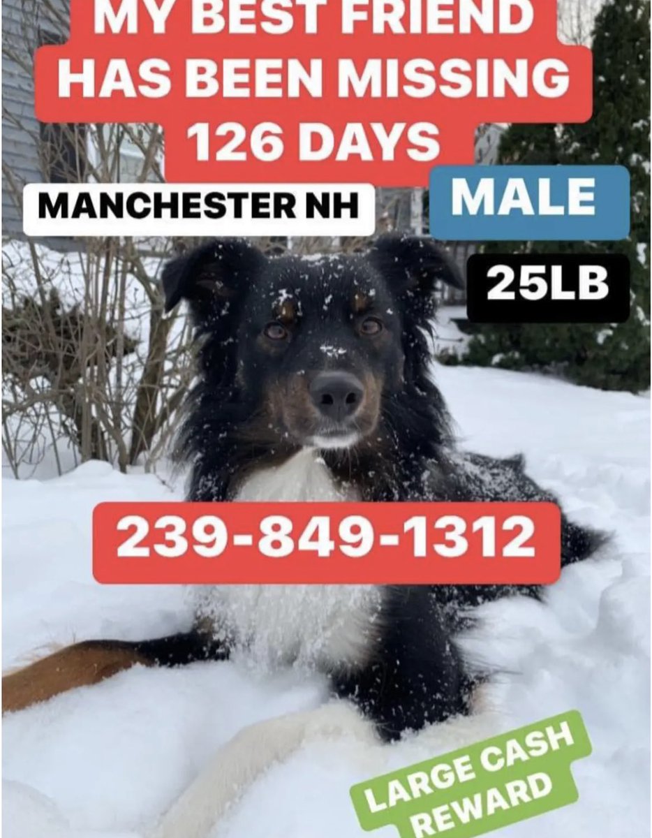 Marc Challinor tweet media