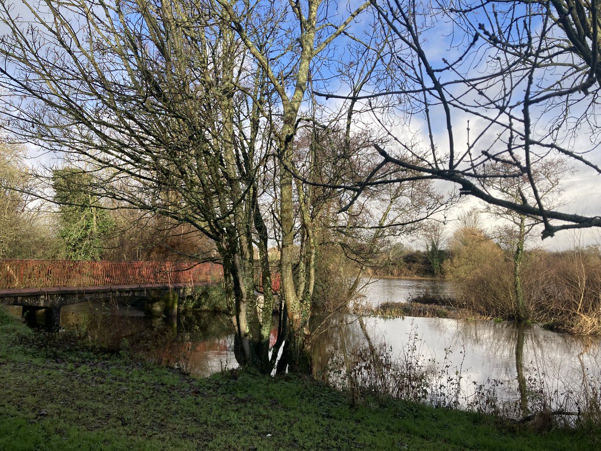 rosaleen_bolger's tweet photo. Morning stroll between the showers #RedPath #CorballyBaths #MillRoad #Corbally #CaisleannaCoran #seagulls #Limerick https://t.co/C33I5Z9hdI