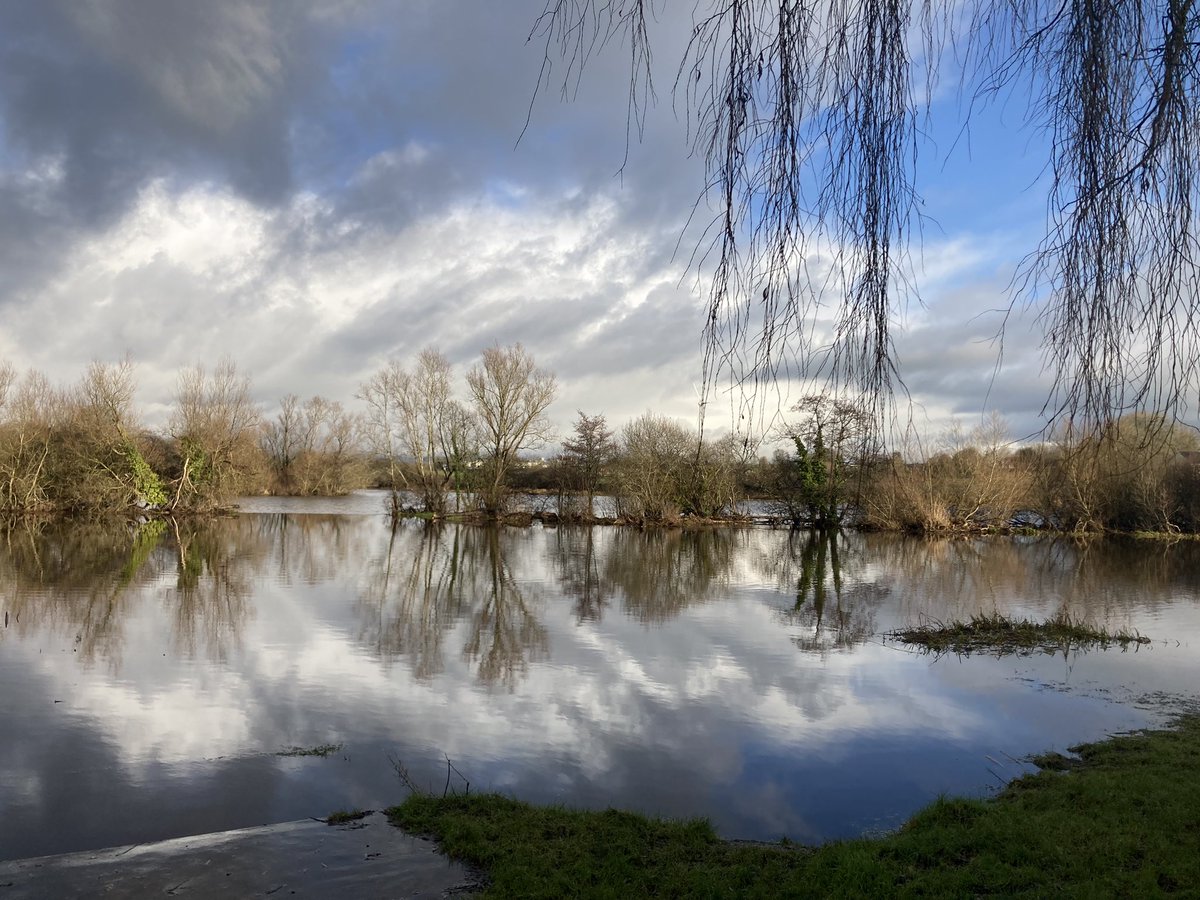 rosaleen_bolger's tweet photo. Morning stroll between the showers #RedPath #CorballyBaths #MillRoad #Corbally #CaisleannaCoran #seagulls #Limerick https://t.co/C33I5Z9hdI