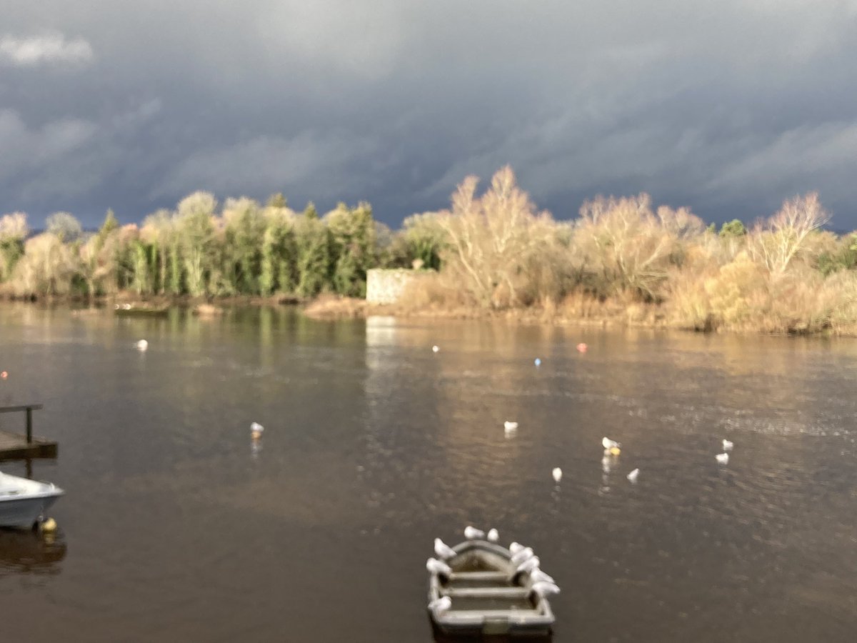 rosaleen_bolger's tweet photo. Morning stroll between the showers #RedPath #CorballyBaths #MillRoad #Corbally #CaisleannaCoran #seagulls #Limerick https://t.co/C33I5Z9hdI