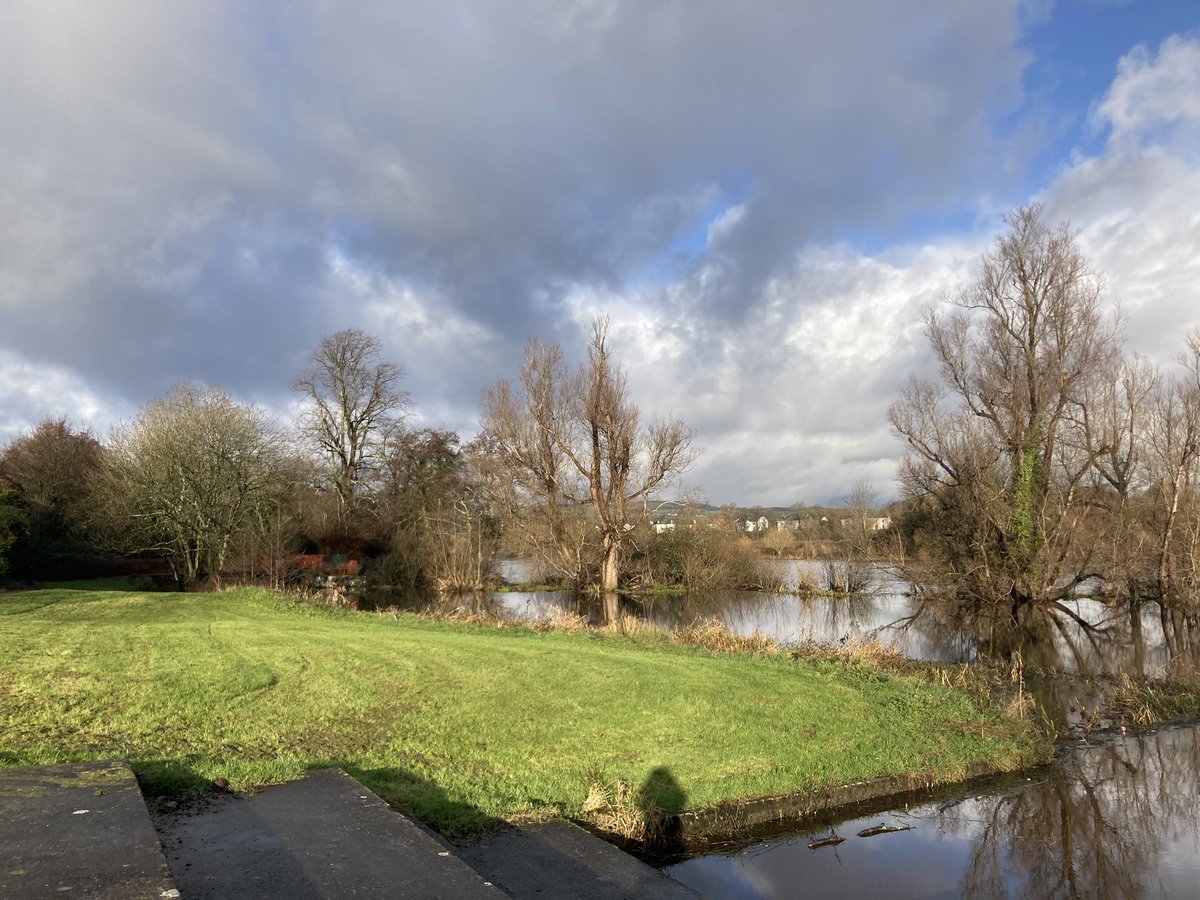 rosaleen_bolger's tweet photo. Morning stroll between the showers #RedPath #CorballyBaths #MillRoad #Corbally #CaisleannaCoran #seagulls #Limerick https://t.co/C33I5Z9hdI