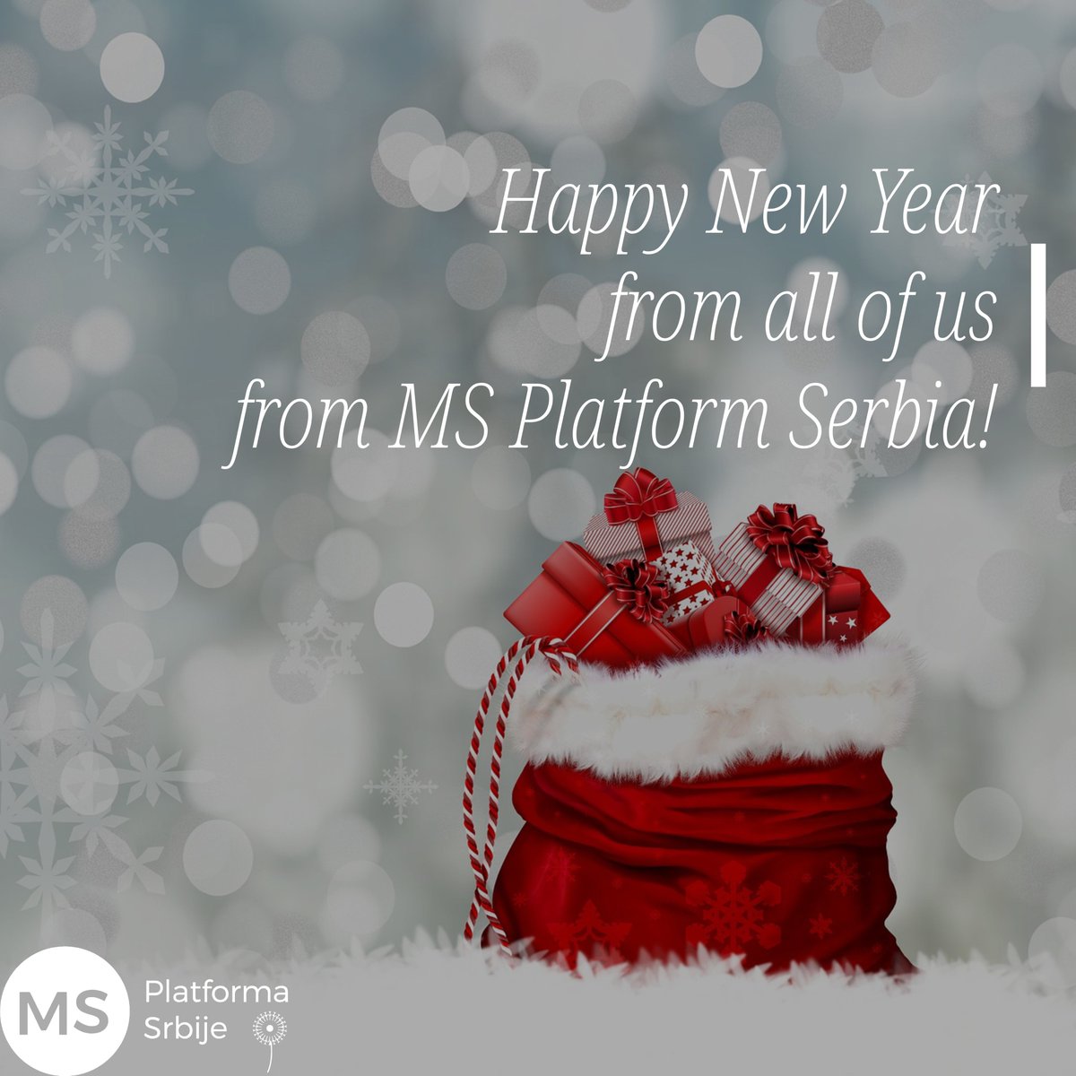 MS Youth Platform Serbia tweet media