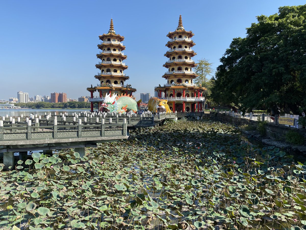 Brian Blais tweet media