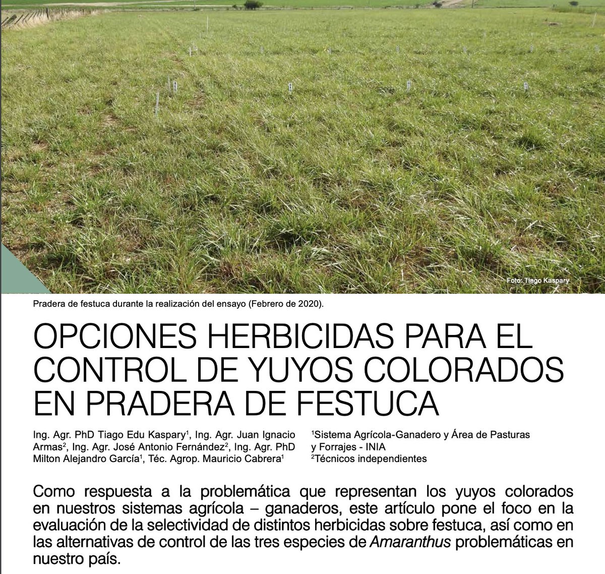La fase de pasturas en las rotaciones con agricultura también puede sufrir la interferencia de los yuyos colorados (Amaranthus spp.) y es una buena oportunidad para manejar estas malezas con diferentes mecanismos de acción herbicida!!!

inia.uy/Publicaciones/…