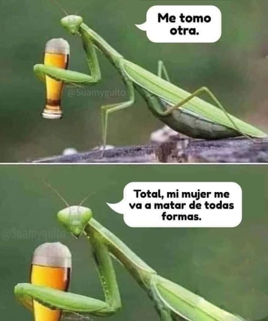 AySeñorQueNosComenLosMonguers tweet media