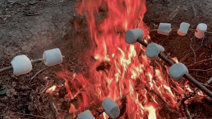 FALCONRYRP's tweet image. ⠀

             𝓕𝗔𝗟𝗖𝗢𝗡𝗥𝗬      𝓒𝗔𝗠𝗣𝗠𝗘𝗡𝗧
              ────   𝔀𝐢𝐧𝐭𝐞𝐫 𝓼𝐞𝐚𝐬𝐨𝐧.
         〝𝗋𝖾𝖺𝖽𝗒   𝗍𝗈   𝗅𝗂𝗏𝖾   𝗒𝗈𝗎𝗋    𝗐𝗈𝗋𝗌𝗍
             𝗇𝗂𝗀𝗁𝗍𝗆𝖺𝗋𝖾       𝗐𝗂𝗍𝗁          𝗎𝗌. 〞

⠀