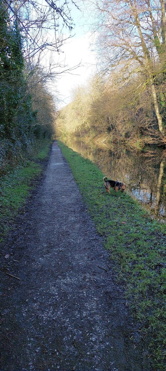 Boxing Day dog walk cold, sunny beautiful with <a href="/Lane8music/">Lane 8</a> #reviver in my ears ❤️❤️