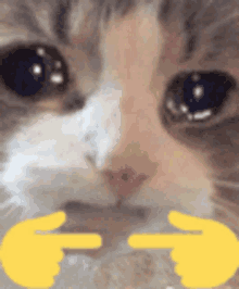 NeilLoutre's tweet photo. @Exatio_ @anniefuchsia @CORSAIR https://t.co/bUyun8MX0q