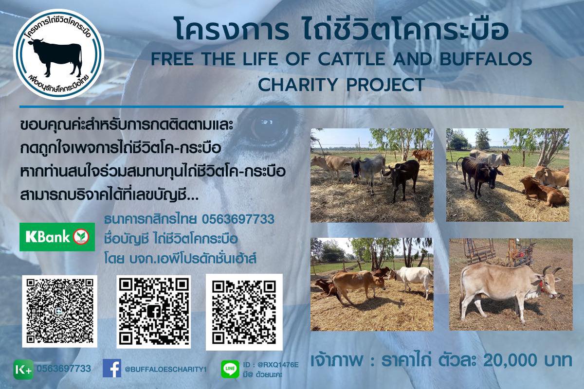 กระดานบอกบุญ tweet media