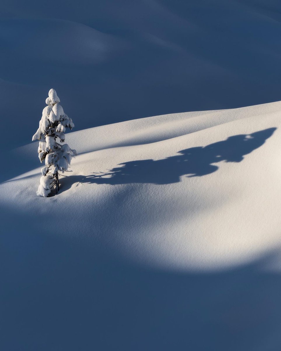 Long morning shadow. #snow #triglavnationalpark #komna #alps #mountains #trees #snow #julianalps #snowy #freshsnow #slovenia #slovenija #landscape #lakebohinj