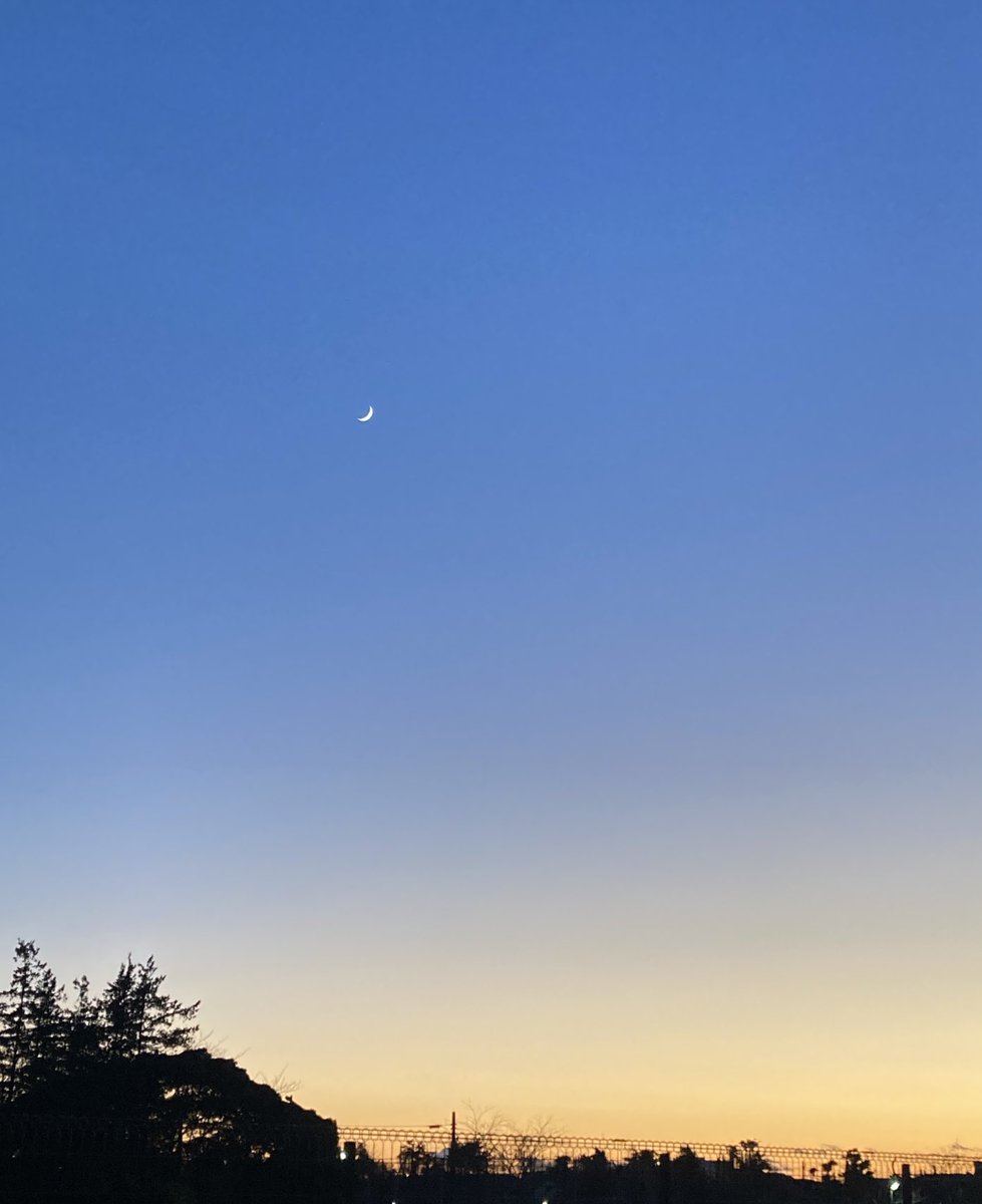 月みとう (@tsukimitou13) on Twitter photo 