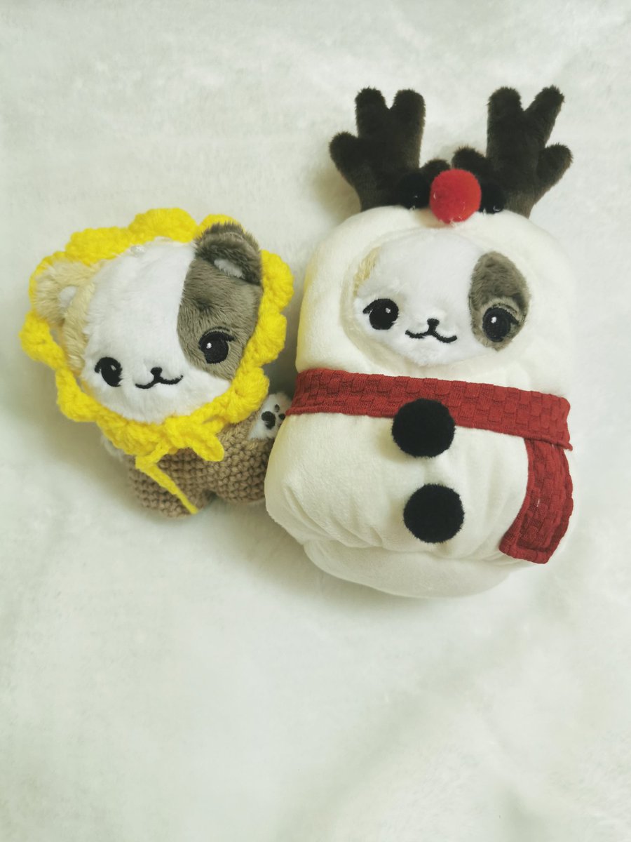 햄뀩이 왔당 🥺 <a href="/haemCyA/">햄뀩이 (배송 완료)</a>