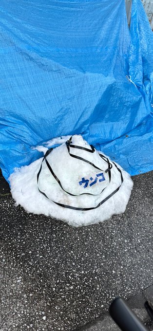 雪に浮かれた高知県民が雪だるまを次々と作る中で感動的なほど低級な一品見つけた 