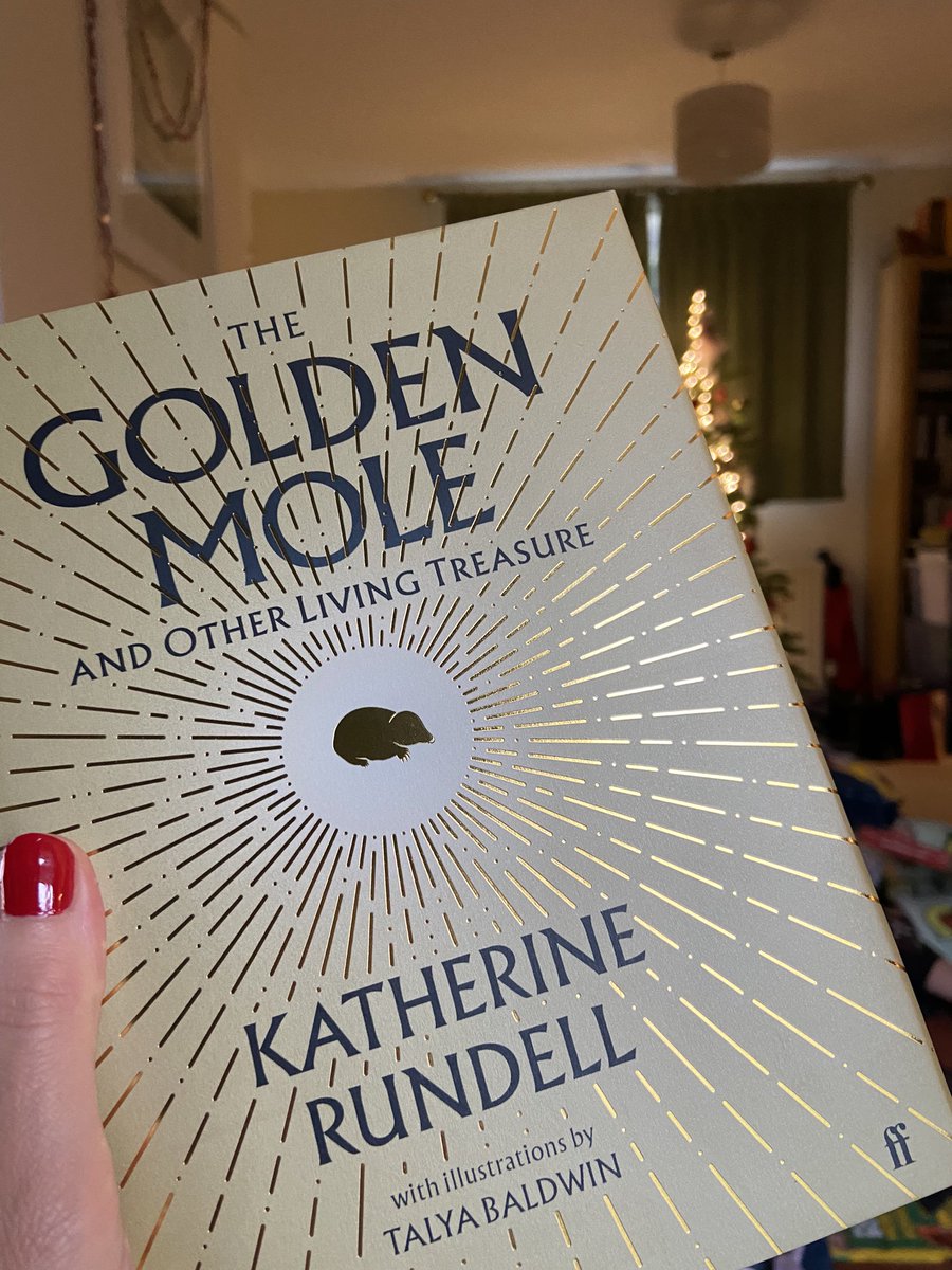 JenCTRobinson's tweet photo. Thank you for the gorgeous copy of Katherine Rundell’s The Golden Mole #BertsSecretSanta @bertsbooks Looking forward to reading it! 🎅 🤶 📖 😊 https://t.co/0Z1djpv2ra