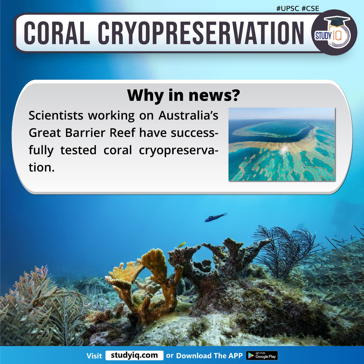 bankiqeducation's tweet photo. Coral Cryopreservation

#coralcryopreservation #whyinnews #australia #greatbarrierreef #coralcells #tissues #cryopreservationtechniques #icecrystalformation #restorereefs #climatechange #frozencorals #biodiversity #cryomesh #cryoplates #meshtechnology #corallarvae #upsc #cse https://t.co/rI1D9axS5y