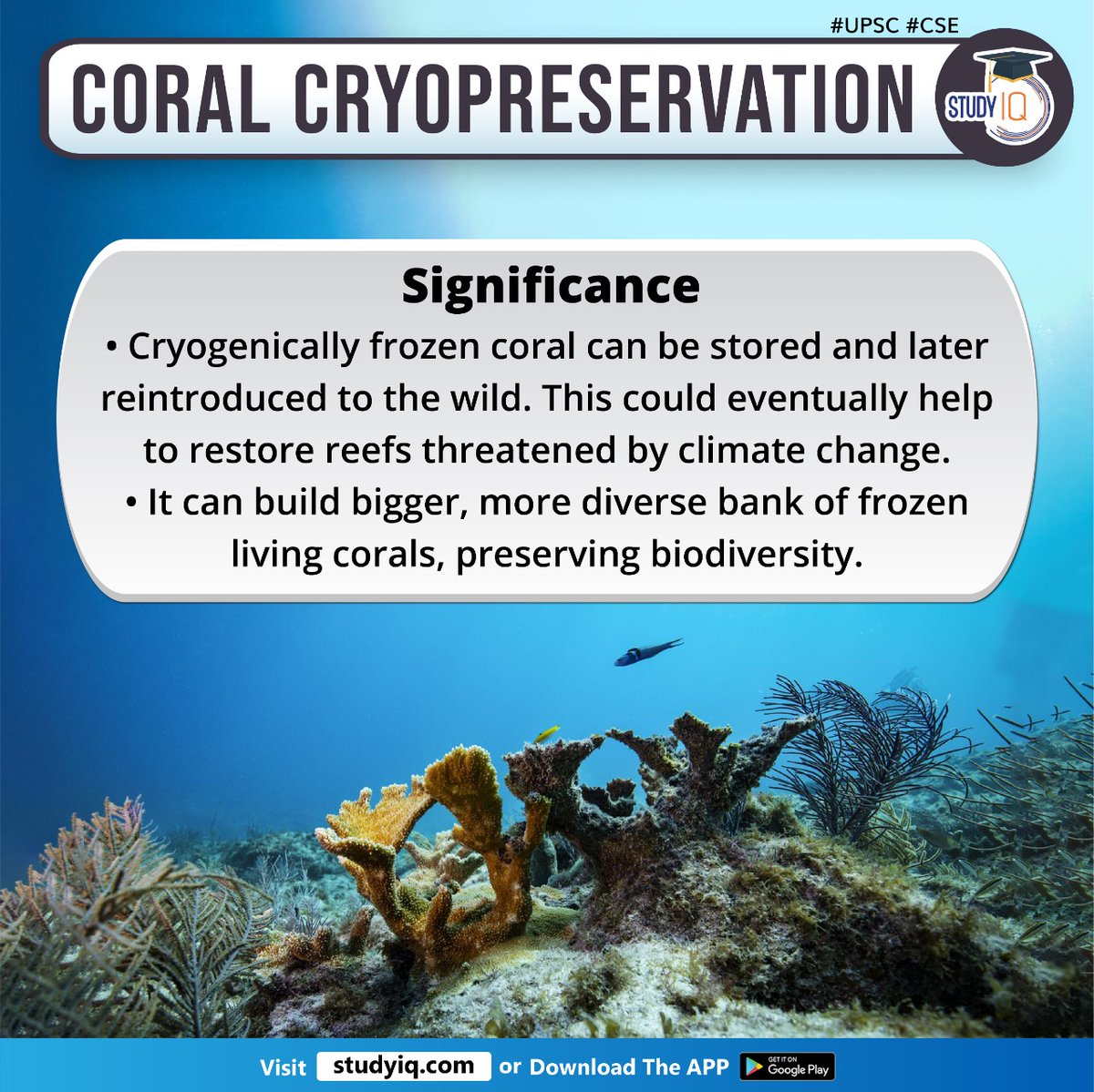 upsciq's tweet photo. Coral Cryopreservation

#coralcryopreservation #whyinnews #australia #greatbarrierreef #coralcells #tissues #cryopreservationtechniques #icecrystalformation #restorereefs #climatechange #frozencorals #biodiversity #cryomesh #cryoplates #meshtechnology #corallarvae #upsc #cse https://t.co/C2R7CmgQdG