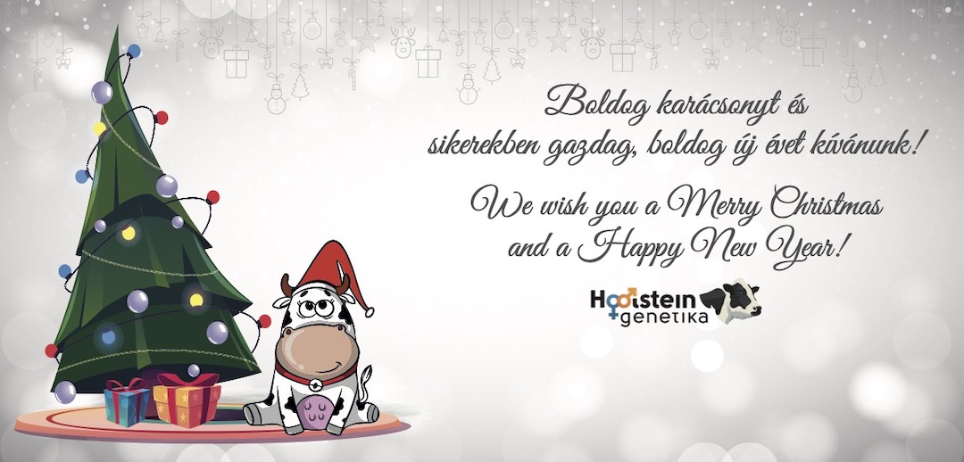holsteingenetik's tweet photo. Boldog karácsonyt és sikerekben gazdag új évet kívánunk!🐮🧀🥛 https://t.co/aUotrOLbon