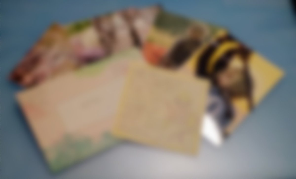 🌙🌊 tweet media