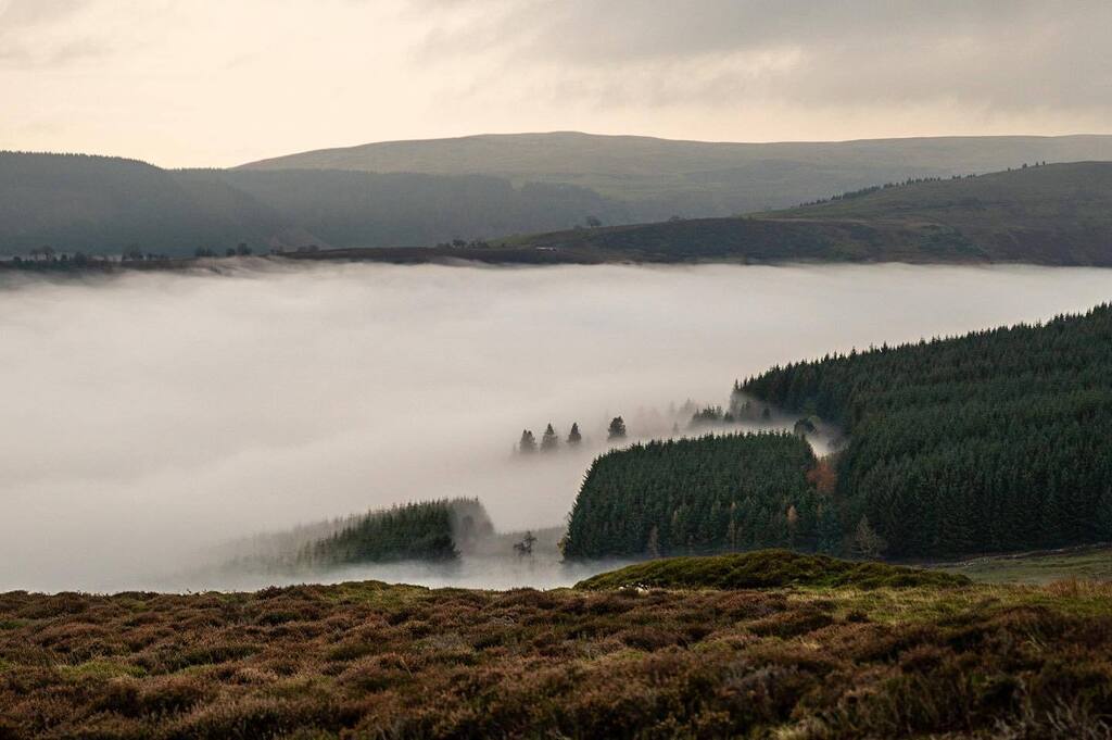 Smoky Forrest 
.
.
#cloudinversion #cloudinversions #Sky #ScenicsNature #Morning #Landscape #Tranquility #Nature #nikon #nikonphotography #nikonz6ii #breconbeacons #breconbeaconsnationalpark #abovetheclouds #ordnancesurvey #neverstopexploring #ukhikes #u… instagr.am/p/CmoEua_NOVc/