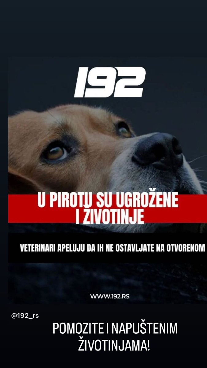 vecamilanovic's tweet photo. I napuštene životinje!!! https://t.co/Ic578RPBpP