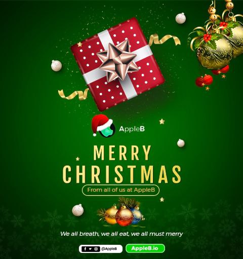 Merry Christmas from all of Us at AppleB

#AppleB #winningtogether #passingloveeveryday
