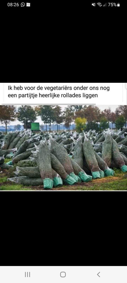 Franscanon's tweet photo. #Vegan #vegetarisch #rollade
Heerlijk zeg. Echt puur genietwn. Vegetarische rollade. https://t.co/9RYLXy6giq