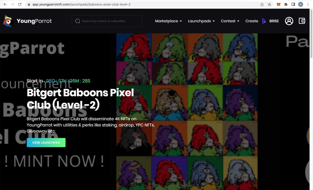 youngparrotnft's tweet photo. 🚀 Upcoming Launchpad:

Welcome Bitgert Baboons Pixel Club (Level 2) for our upcoming launchpad.

Check it out https://t.co/8DajSW9w5b 🔥

@bitgert_baboons @bitgertarmy @bitgertPro @Bitgert_Us 

#ypc #ypm #nft #marketplace #launchpad https://t.co/ivlPhMGNeP
