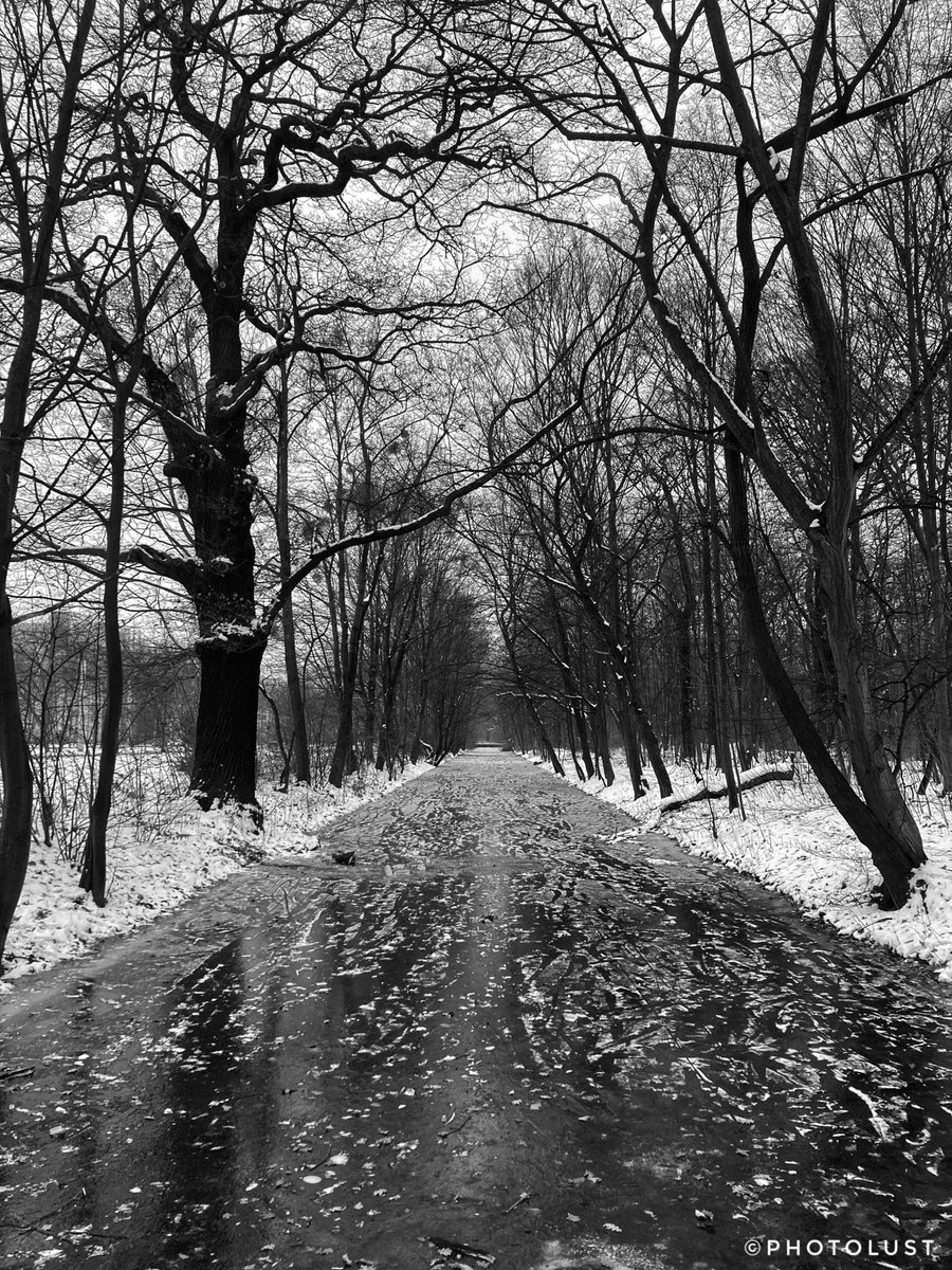 #Photography #Nature
#Dresden #GrosserGarten #Winter #Ice #Frost
I wish my Twitter friends a nice Monday.